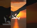 وائل الفشني راهب 
