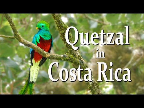 Video: Lembah Quetzals di Kosta Rika