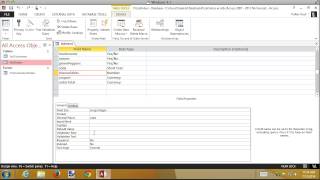 Int Access 1.1 Defining Field and Table Validation