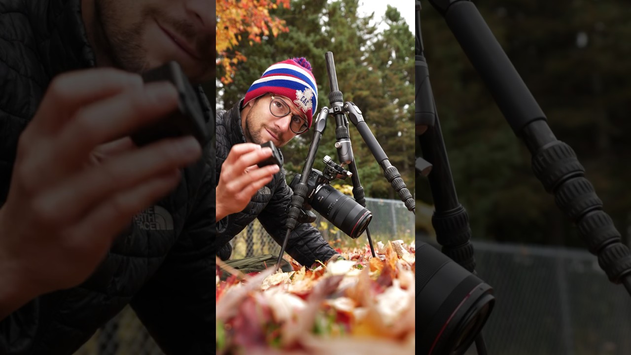Macro Hacks: Love ❤️ in the Leaves 