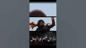 القارئ حامد الله ساجد سورة الفيل #قرآن #قران_كريم #quran #اسلام #سورة_الفيل #اسلاميات #القرآن_الكريم