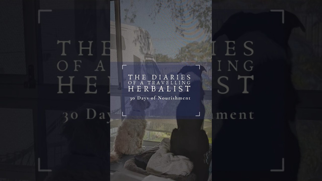 Day 3: Why my cat smooches carrot bags (The Sensory Seeker) 