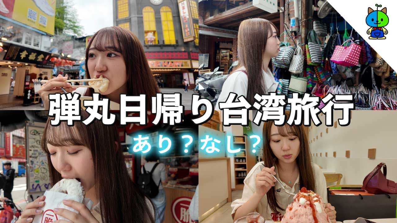 【1万円】日帰り弾丸で台湾旅行はあり？なし？？【MOMOLOG#245】