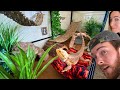 We Made our Bearded Dragon a Mansion! *HE LOVED IT*