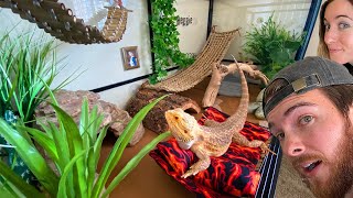 We Made our Bearded Dragon a Mansion! *HE LOVED IT*