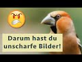 Unscharfe Fotos? Die Ursachen und Tipps für schärfere Bilder