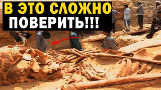 В Это Трудно Поверить!!! Ученые Рвут Волосы На Голове!!!