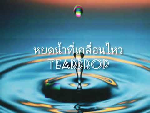 หยดน้ำที่เคลื่อนไหว - เคลิ้ม (cover MV)