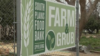 South Plains Food Bank Grub Farm celebrates CSA day