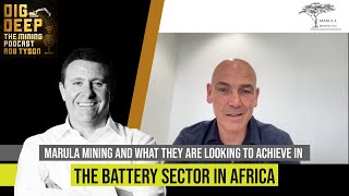 Marula Mining and What They Are Looking To Achieve in The Battery Sector In Africa Wealth