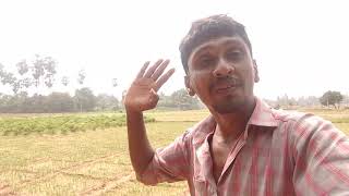 Ahara Jeewithayata Wadagathda...??? Deshapalanaya Mulawakda....