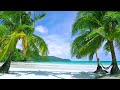 Tropical Beach, White Noise for relaxation &amp; Sleep |  Distant Ocean Wave &amp; Seabird Ambience