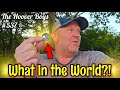 We Find the CRAZIEST Stuff in the River! Who Would do THIS?