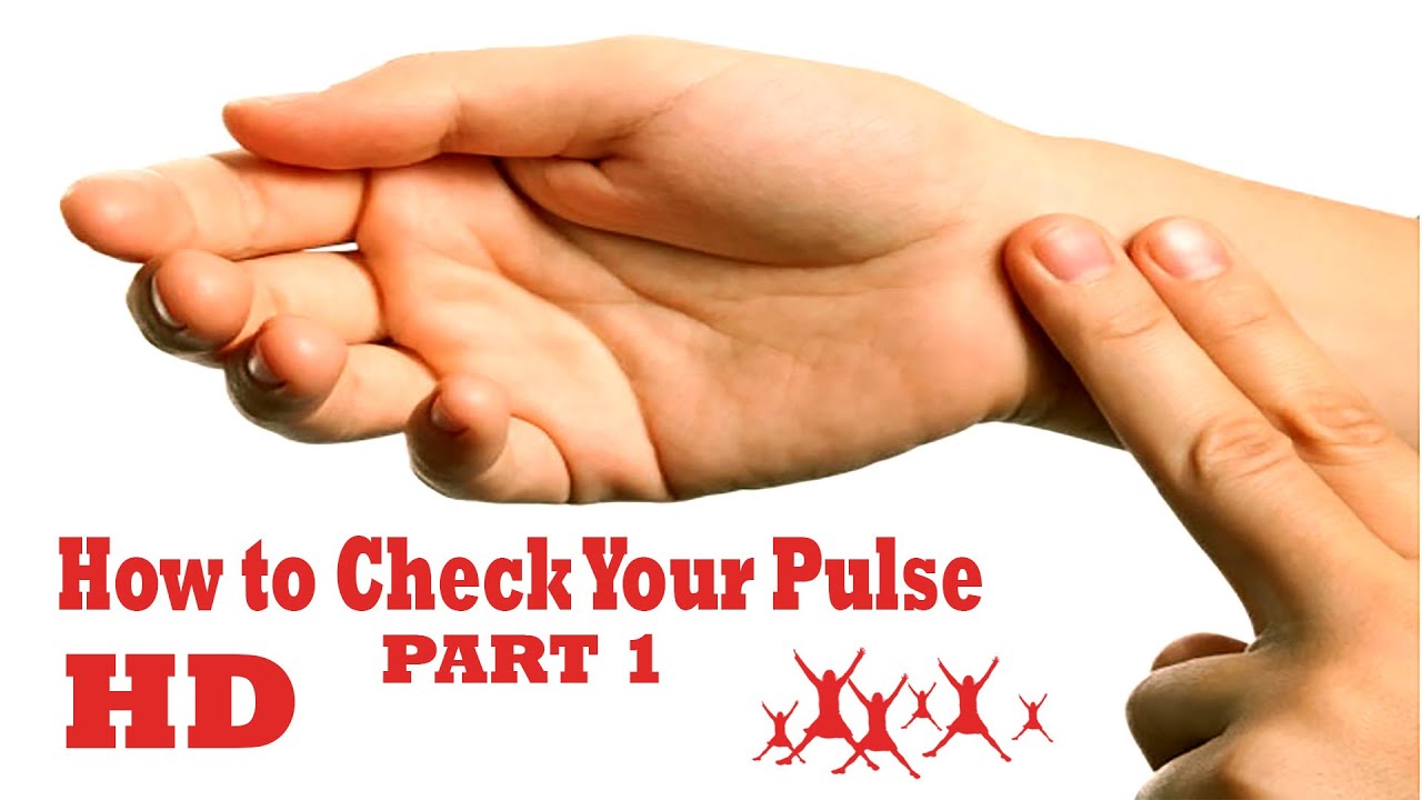 how to check your heart rate and Pulse YouTube
