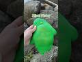 How to make slice fishy 😂😂😂 #squishy