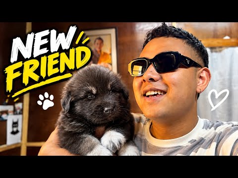 Finally back to Bhutan 🇧🇹🔥 | My new lil brother