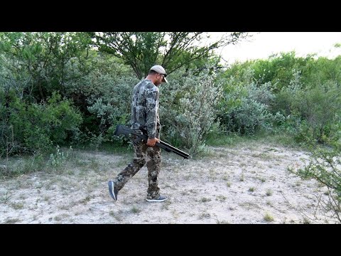 Using The Umarex AirSaber for Hog Hunting