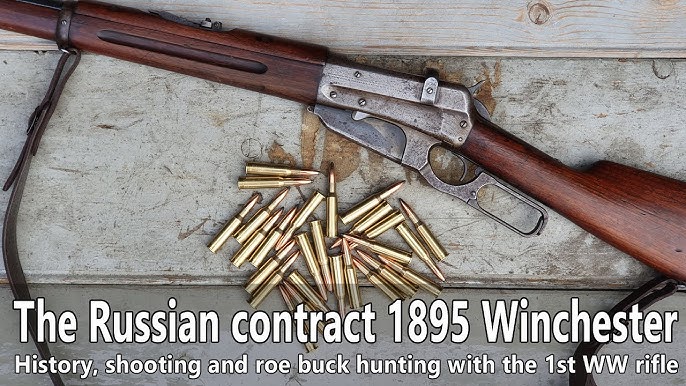 Model 1895 - Winchester CollectorWinchester Collector