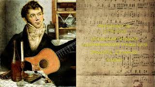 Фернандо Сор op.31 Этюд №4 (Исп. Григорий Кравцов)