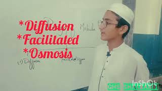 passagae of molecule *Diffusion*Facilitated*Osmosis