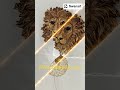 Enhance Your Decor with a Majestic Lion Head Wall Light