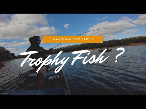 Is This The Trout Of A LIFETIME? | Waroona Trip Part 2