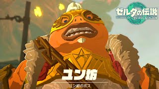 ぴぃやんさん専用　ゼルダの伝説 任天堂 ゼルダの伝説 ブレス オブ ザ ワイルド Nintendo Switch