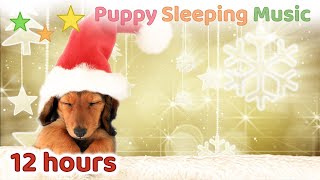 ☆ 12 HOURS ☆ Christmas SLEEP MUSIC for Dogs NO ADS 🎄🎅 Christmas Music 🐶 Puppy Sleeping Music