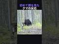 初めて鏡を見たクマの反応