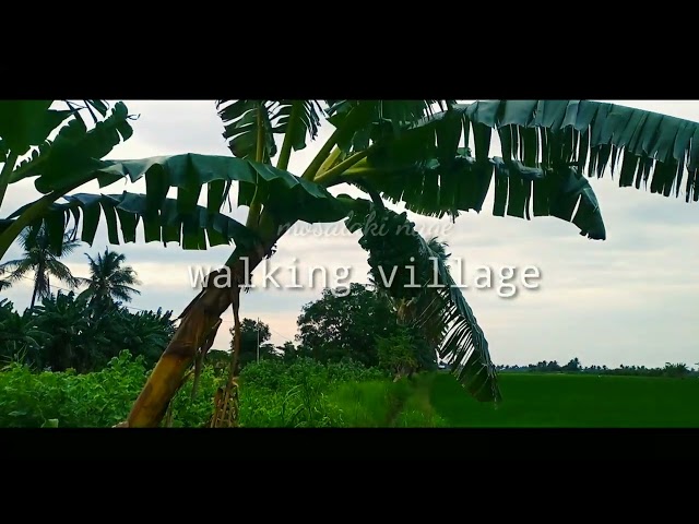 Walking village//mosalaki nage class=