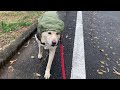 とにかく前を向いて歩こう