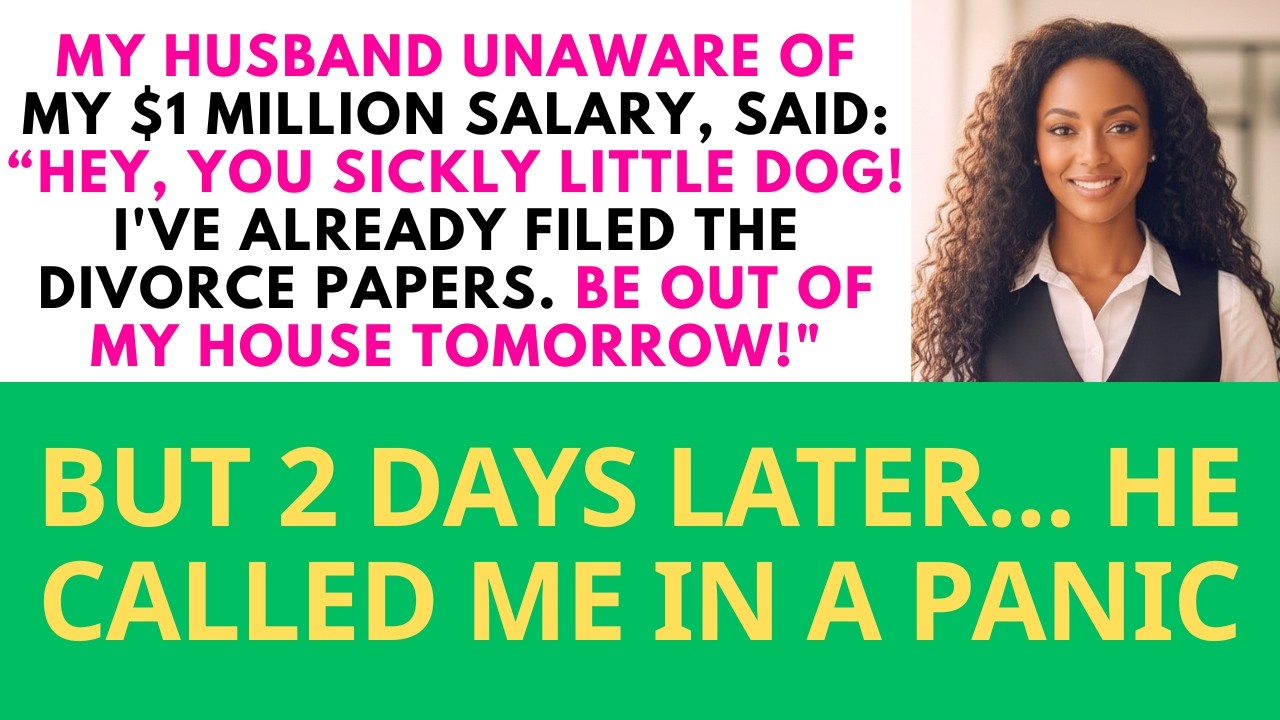 Thinking I was broke, my husband divorced me and threw me out... | Sweet Comfort Stories