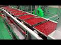 Pig Blood Cakes Production Process, Three Cup Mixiegao Making / 豬血糕量產, 三杯米血 - Food Factory