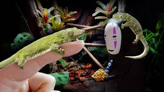 I Made a Ghibli Forest for my Tiny Geckos