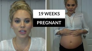 19 Weeks Pregnant (First Pregnancy) - Second Trimester - Zika Virus/Symptoms/Maternity/Haul