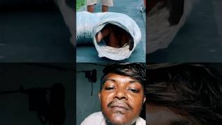 🐛 The Giant Worm Attack! 😂 | Funniest Short Ever #shorts
