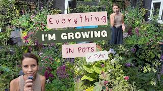 What I'm Growing In Pots