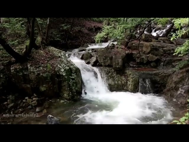 ENSEÑANZAS DE BUDA SOBRE LA MISERICORDIA