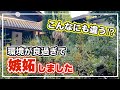 成長し過ぎてずるい！りょうたのオージーガーデン【オージープランツ】