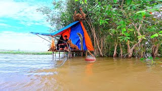 2 Days Camping In The Floodplains Snakehead Fishing, Cooking And Overnight With Dog