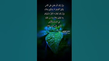 سورة النمل الاية 73-75