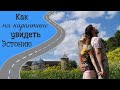 Самоизолировались в Ивангородской крепости. Как живёт город на границе России и что такое Парусинка?