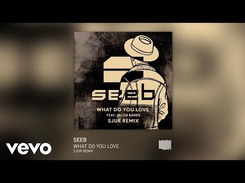 Seeb - What Do You Love (SJUR Remix) ft. Jacob Banks