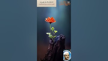 روائع الشيخ محمد صديق المنشاوى - نهاية سورة الفجر وبداية سورة البلد