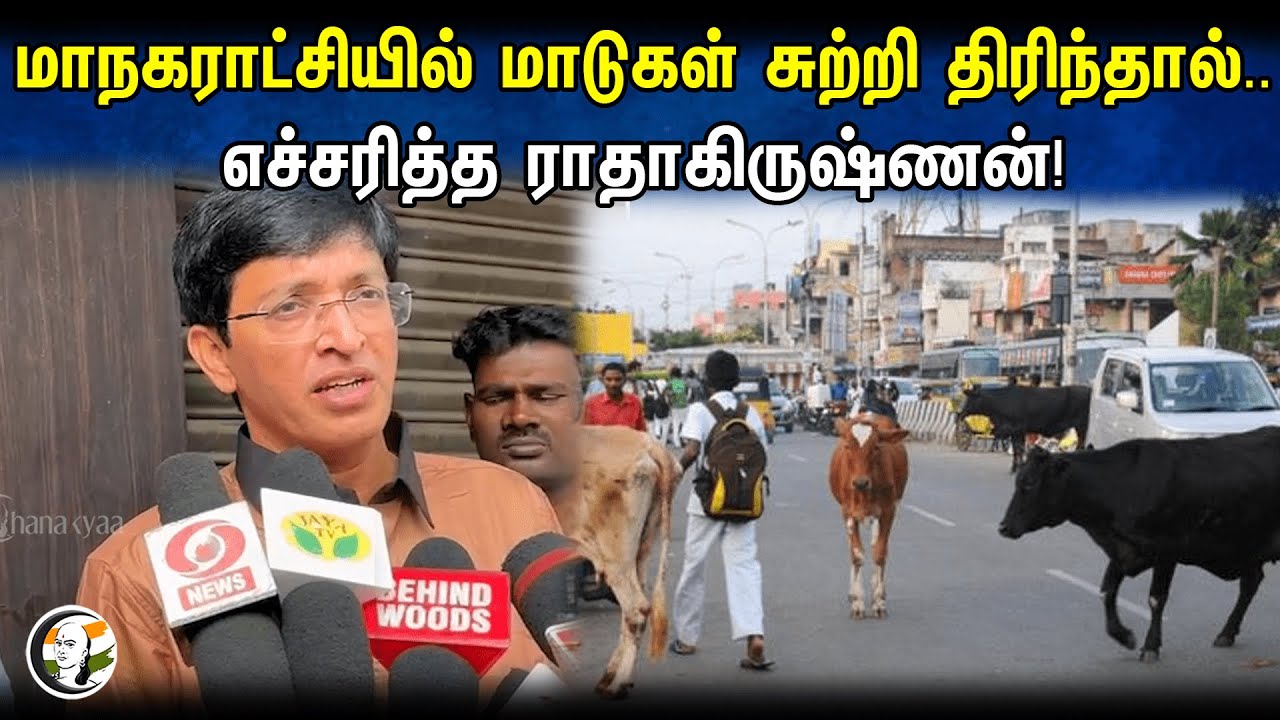 மாநகராட்சியில் மாடுகள் சுற்றி திரிந்தால்.. எச்சரித்த ராதாகிருஷ்ணன்! | Radhakrishnan Pressmeet