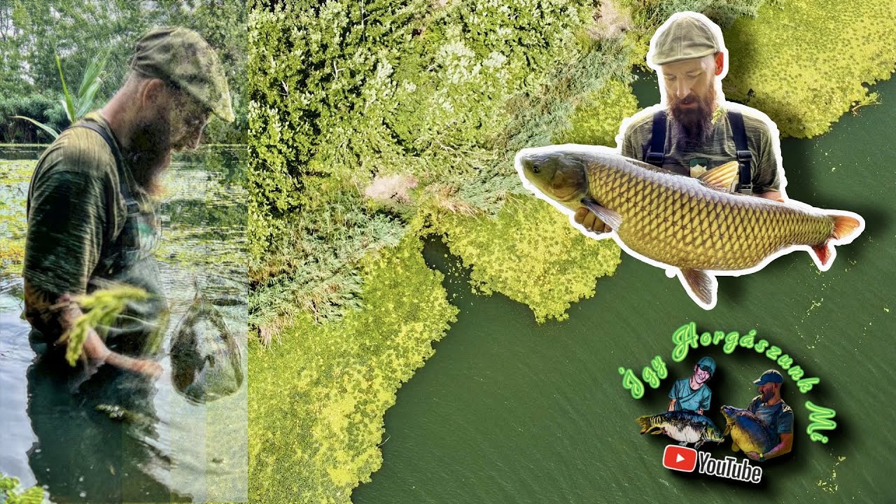 Vadvizi Amúrozás - Keleti-főcsatorna 🎣🐟🐳