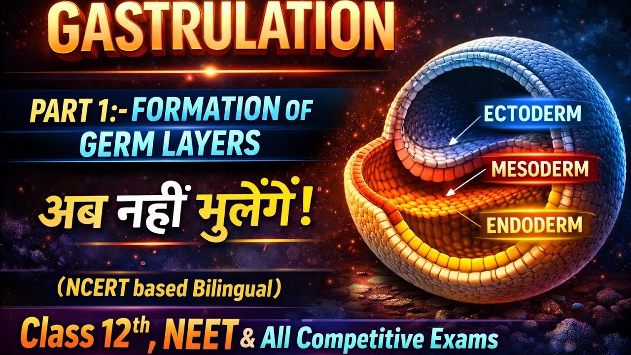 Gastrulation | Formation of three germ layer | Types of gastrulation | Morphogenetic movement 🎯📚📖🥰