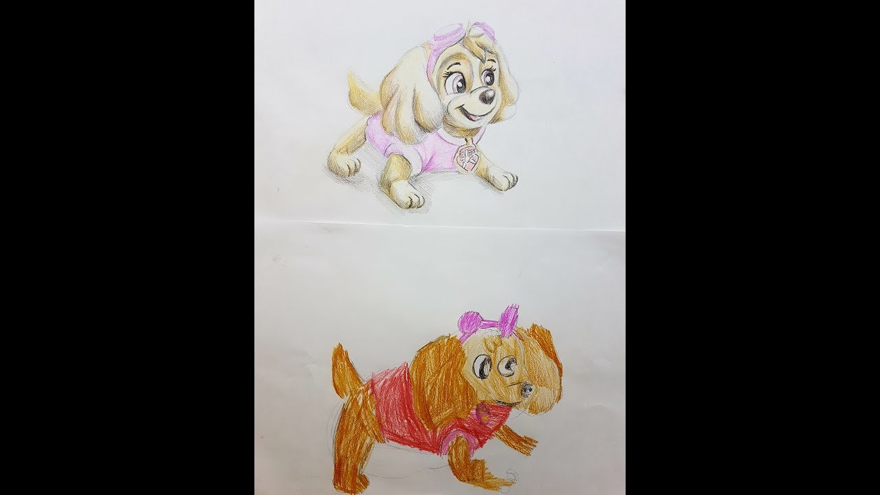 Нарисовать скай из щенячьего патруля легко ребенку пошагово