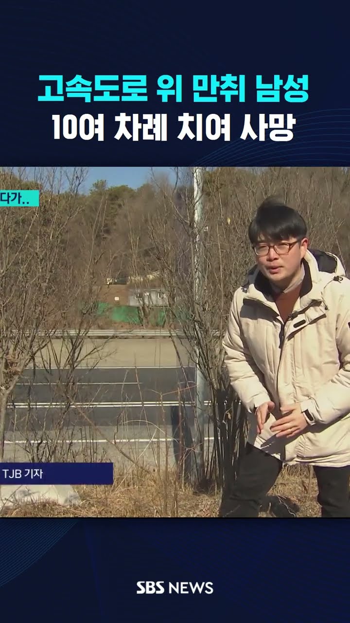 고속도로 위 만취 남성…10여 차례 치여 사망  #shorts