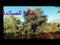 جولة في غابة الجرف على انغام ماية مجموعة ولاد اعلي جولة في غابة الجرف على انغام ماية مجموعة ولاد اعلي